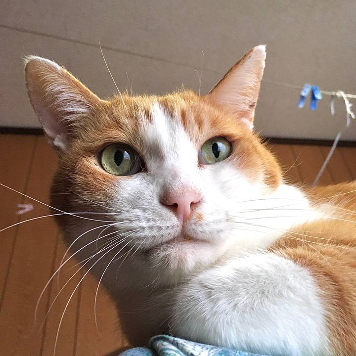 F2e85249 07d9 4053 987f 11467f526888 1572329436943