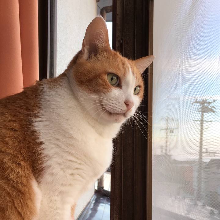 F2e877f4 7476 4224 92fa bee7f804e2cd 1571639887674