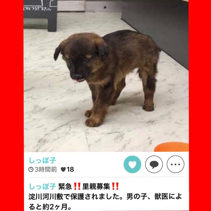 F2e8a7d4 da5b 4800 9725 b2063b36eb5f 1539503924615