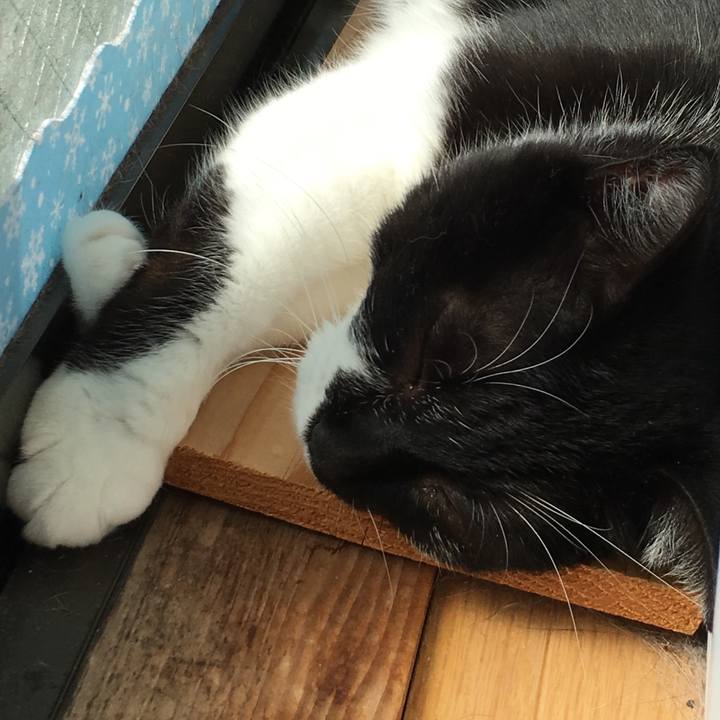 F2e8ad64 942d 4803 89c6 d0b6a90077db 1539420602358