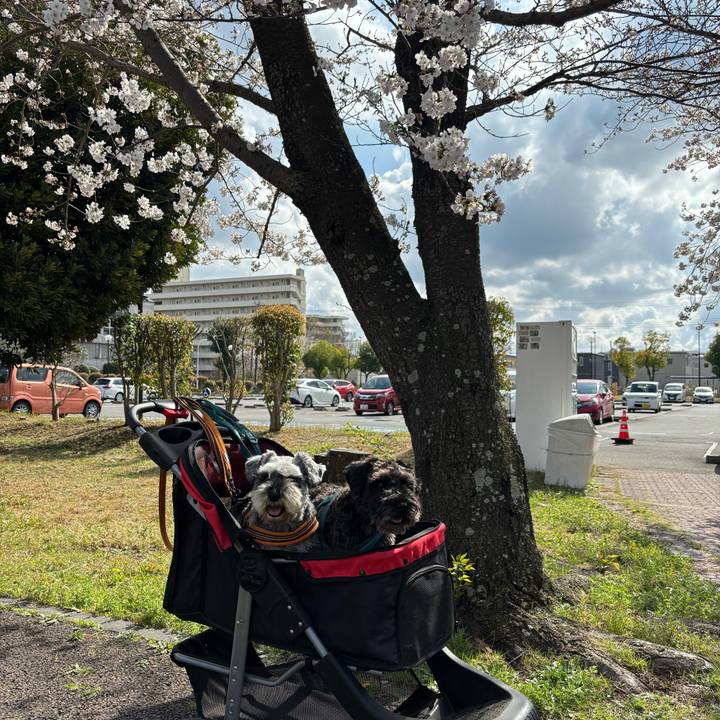 F2e8ae91 242c 4366 9b42 0c87e1ece3c2 1712494692418