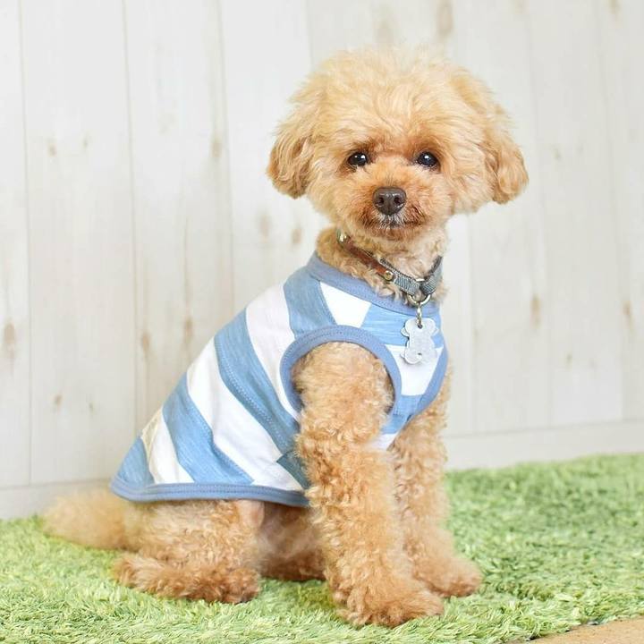 F2e8bff5 b926 4341 862d 8b7dc1bd15a6 1593527691363