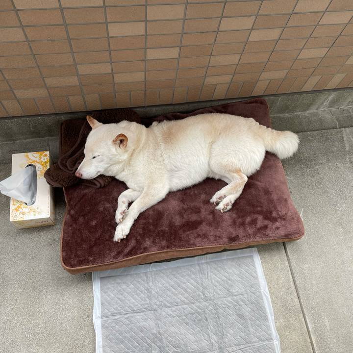 F2e8dcc4 621d 447a b71e 9f2dac7568f5 1635840174682