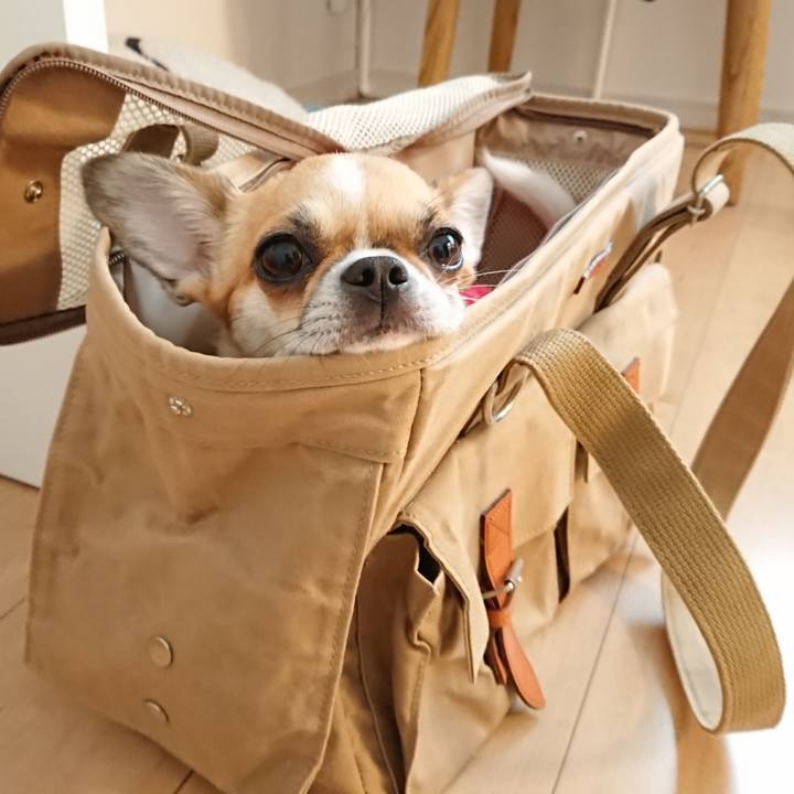 F2e8e2c8 ac35 4d78 90d2 6429622c630d 1577347607450