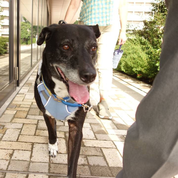 F2e8ebf3 b5b6 4dcf 9083 2ccc5dfe1dbd 1751761095658