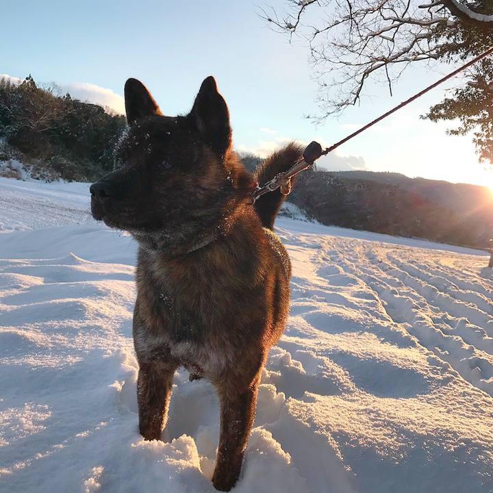 F2e91829 2880 4e43 b9db f9425b7fb544 1515815891277