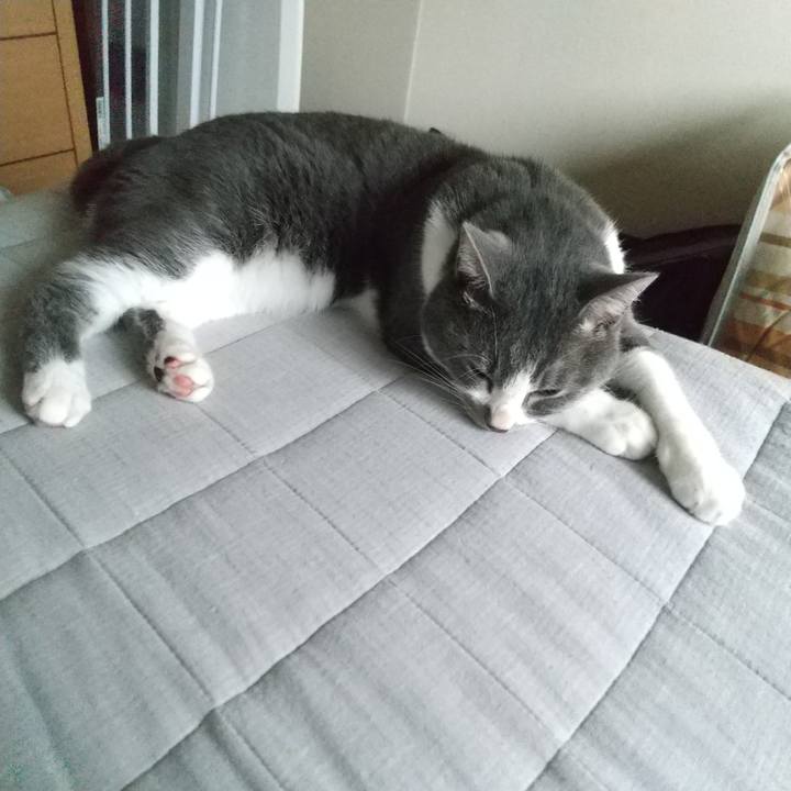 F2e9277b 3622 4bfe 9f2a bf53ac3c7203 1628811029553