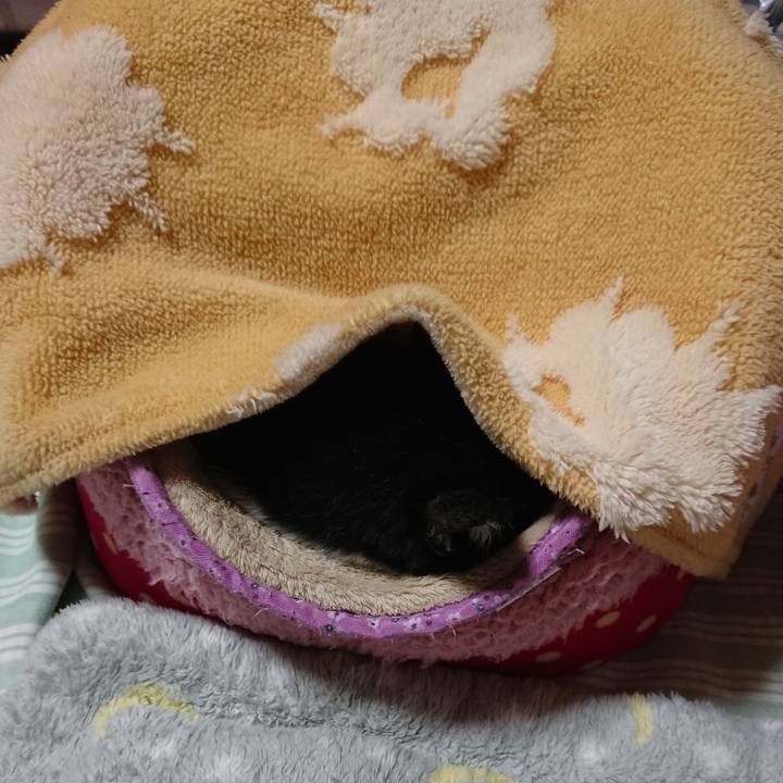 F2e93c87 5892 4089 82fe 16aff61aa6ff 1573828922832