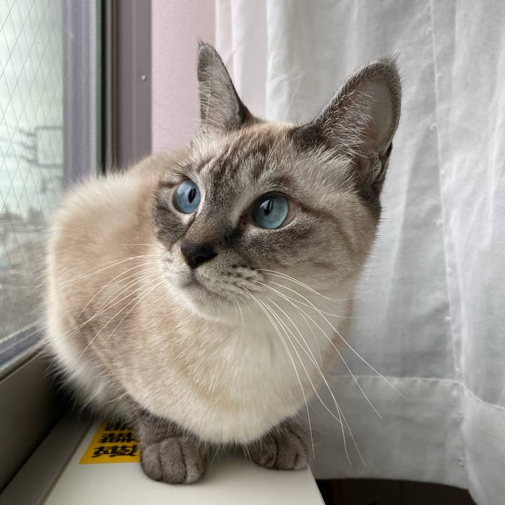 F2e9d4a6 4e99 4fad 89aa 55a9bf8129c2 1635725685161