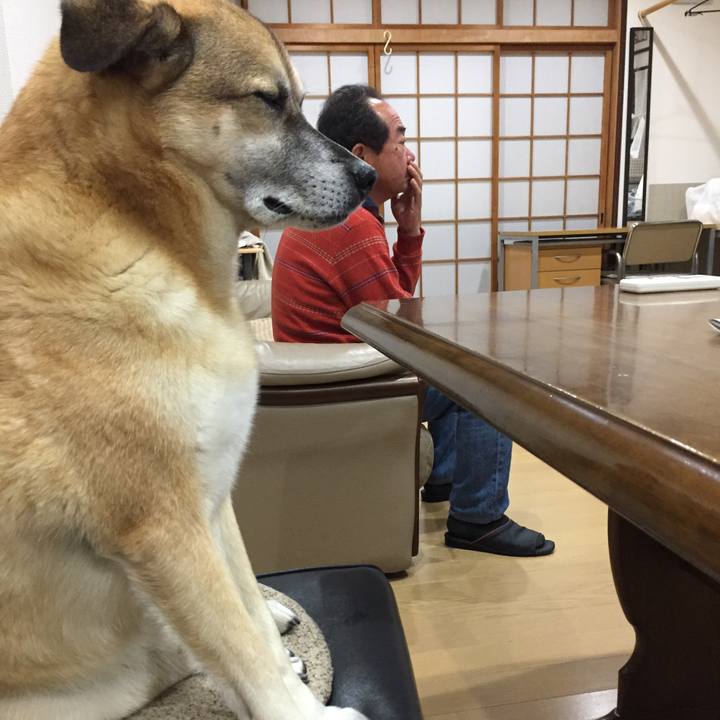 F2e9e164 61f1 4322 b211 07b56401a2dc 1543315188290