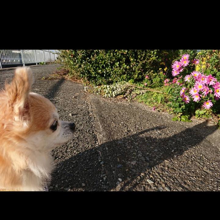 F2ea027e 24f4 4b7c 8bd0 ec35fd28781f 1542713819377