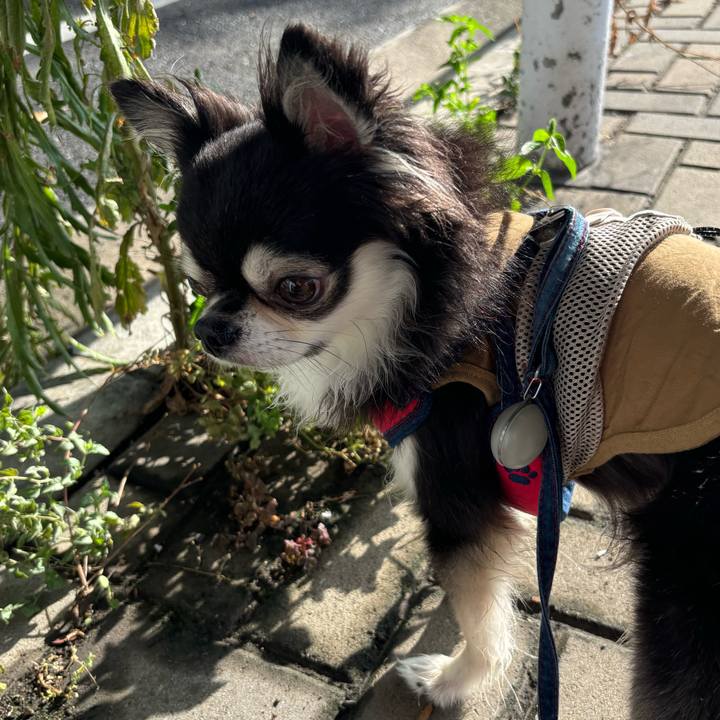 F2ea03a4 eea5 421f 901b 99007da29995 1724601407626