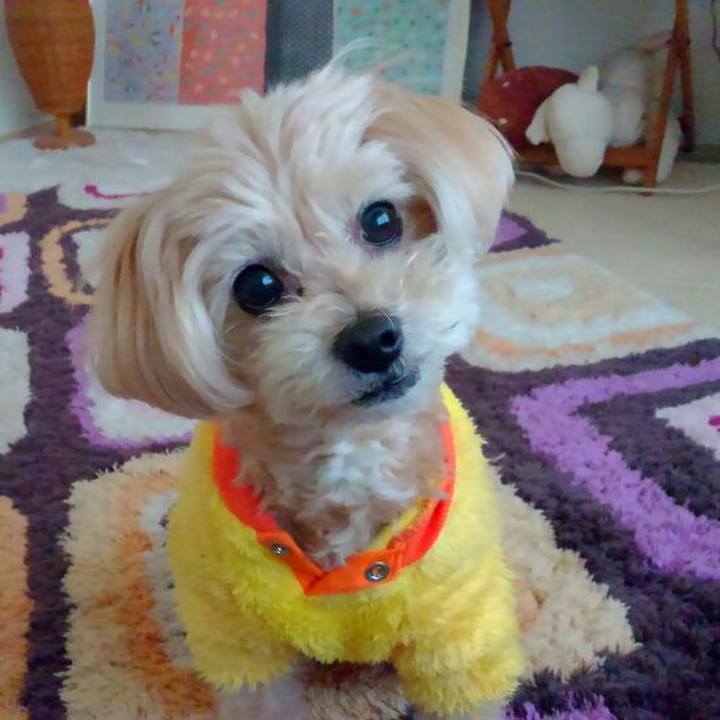 F2ea0c62 5a23 4d69 92fe 1fd724413b4e 1555134759377