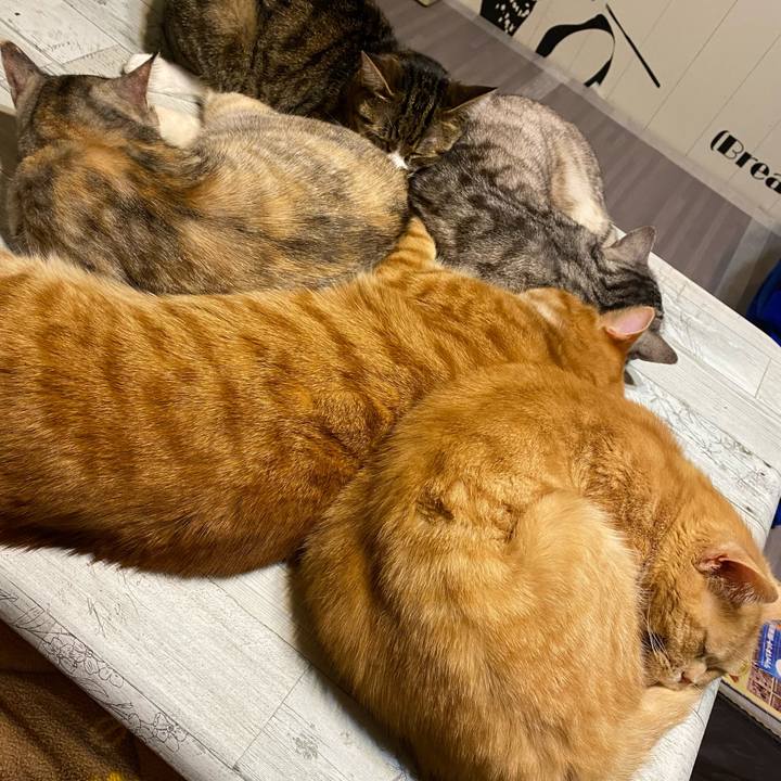 F2ea338b 5af6 4c12 bfb4 376605ff78d9 1613927698137