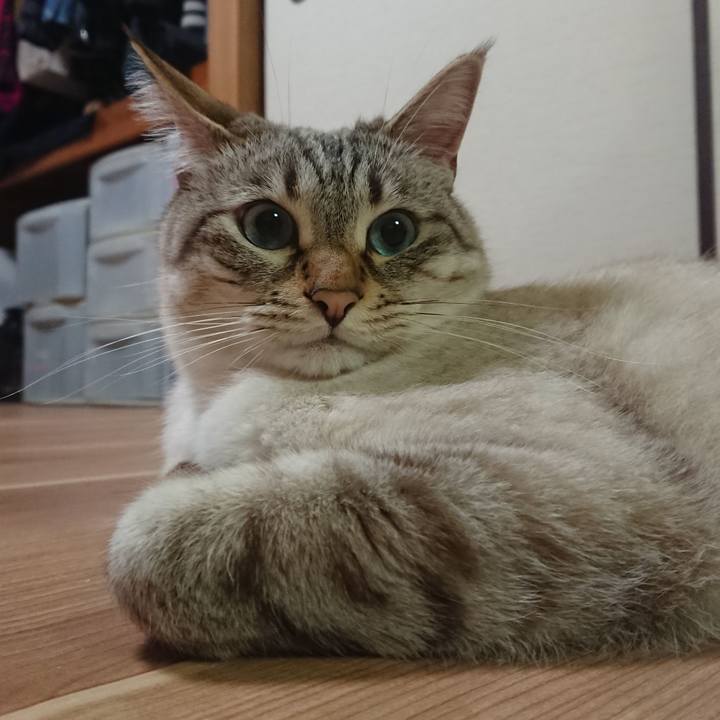 F2ea5da9 62a9 4afb 9d91 3978b8f91eb3 1591188819807