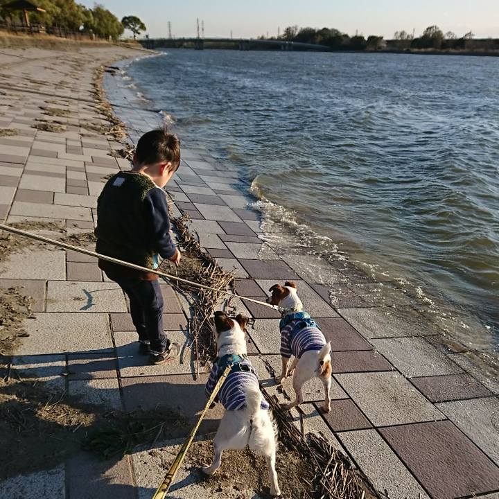 F2eaa3ca 6c23 4bdf a713 8491ca5074e1 1585042031841