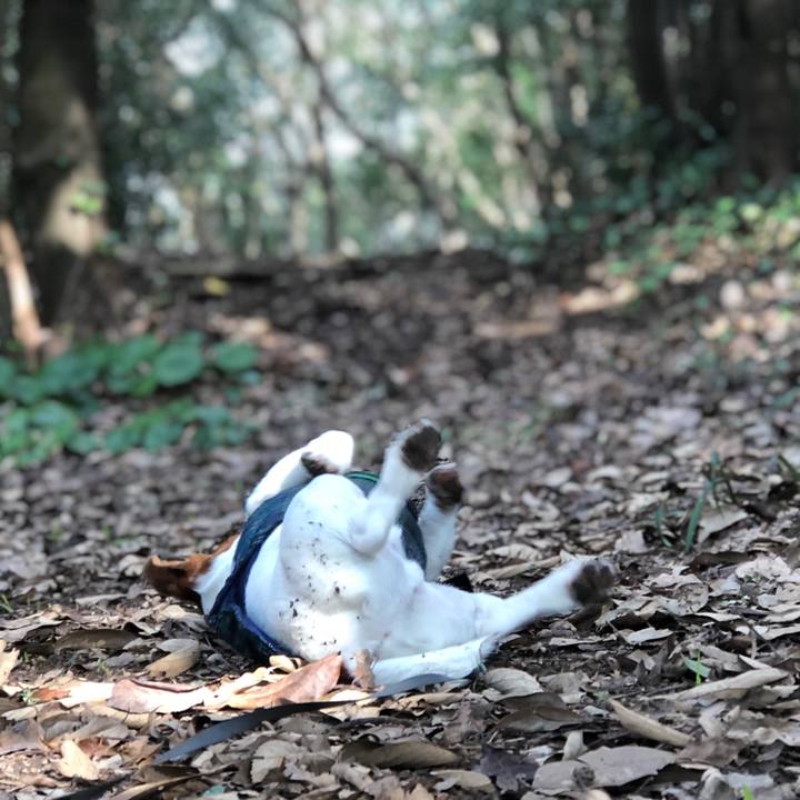 F2eafd33 9ea0 4365 9b12 3b22c45d7255 1548232931511