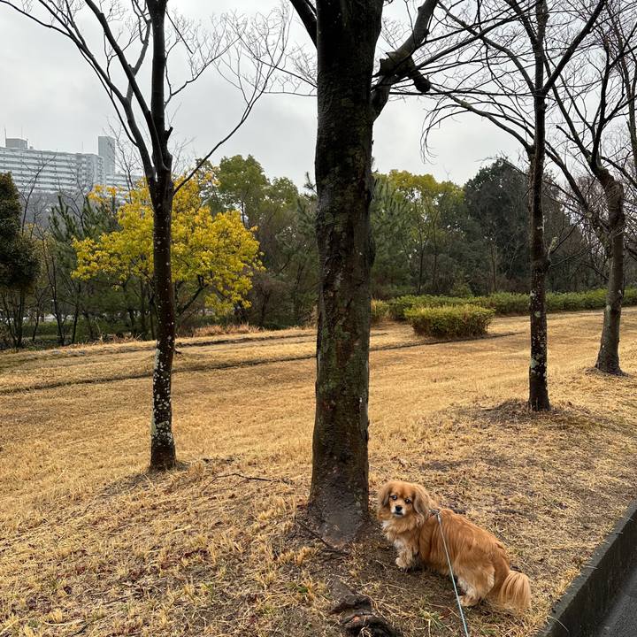 F2eb5720 2ab5 4c18 9347 1dddbc4018bc 1676764683321