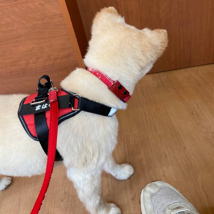 F2eb5937 b93c 4fe7 a962 b1ca88e9e5ba 1654045085220