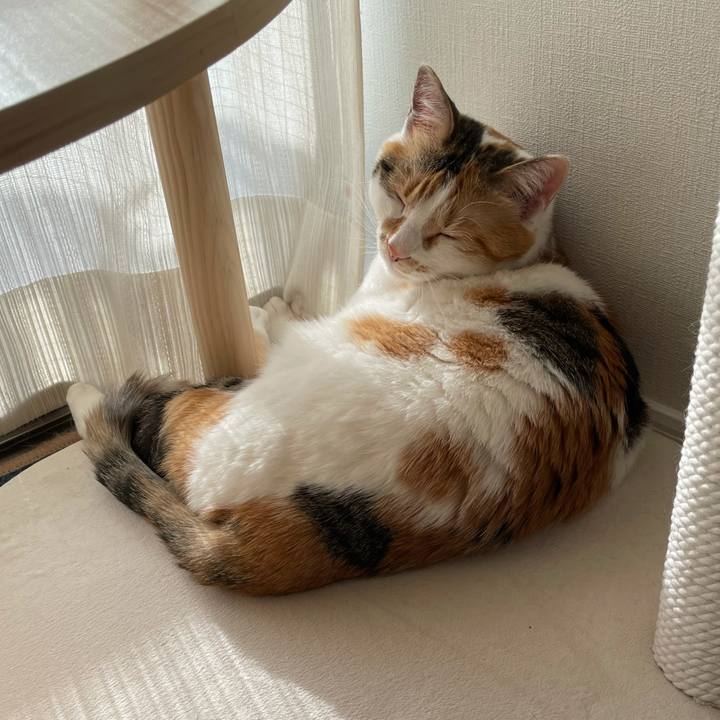 F2eba196 b29a 4f3c ba26 cf9d492e7429 1620037414476