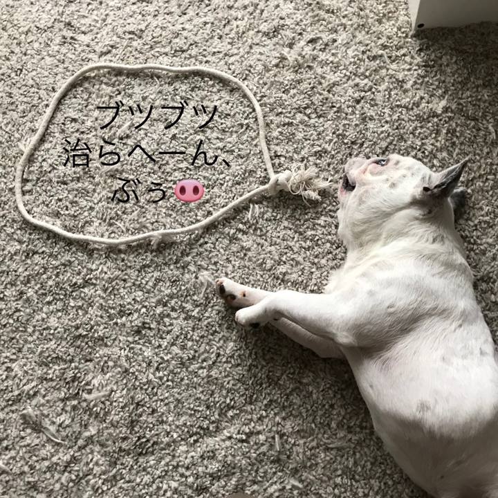 F2ebae47 0021 4edb 9cdd db0ebd8e3704 1536628775616