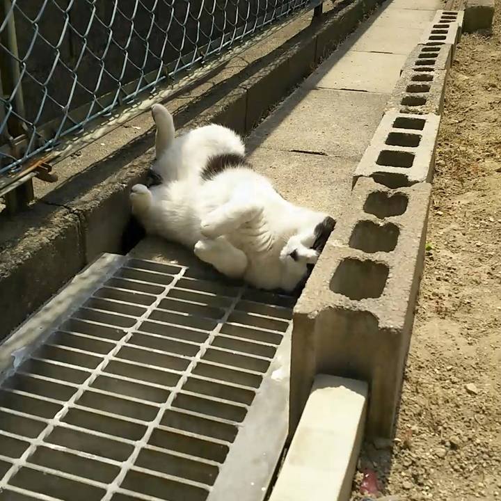 F2ebf491 e5c6 4ed3 a805 cd1cf0b4c7aa 1554609688017