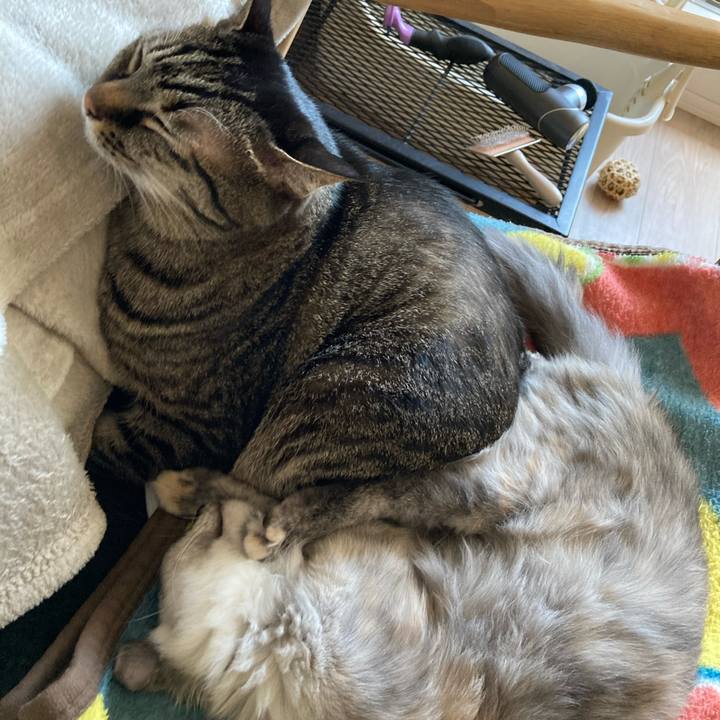 F2ec1224 2d08 4980 9ca1 e31e857849d8 1700541312135