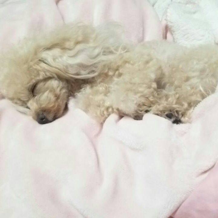 F2ec9b5a 379f 4c14 baa0 5b4d44ad6b01 1538400592810