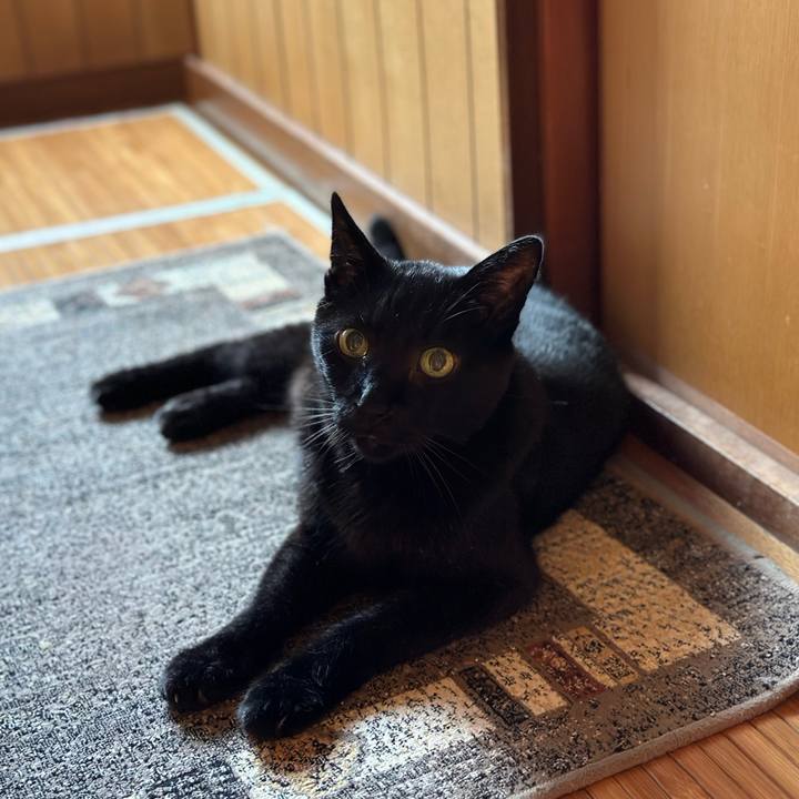 F2ece444 3326 46d1 9da9 2cd50f0f9d36 1690242053863