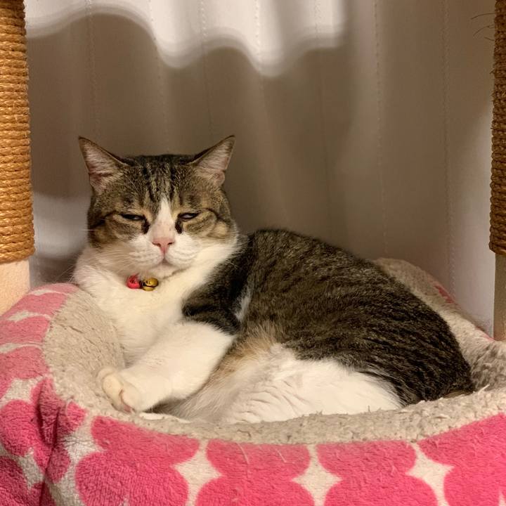 F2ece7e0 dc0d 4629 83f8 795a40cc4381 1666699232661