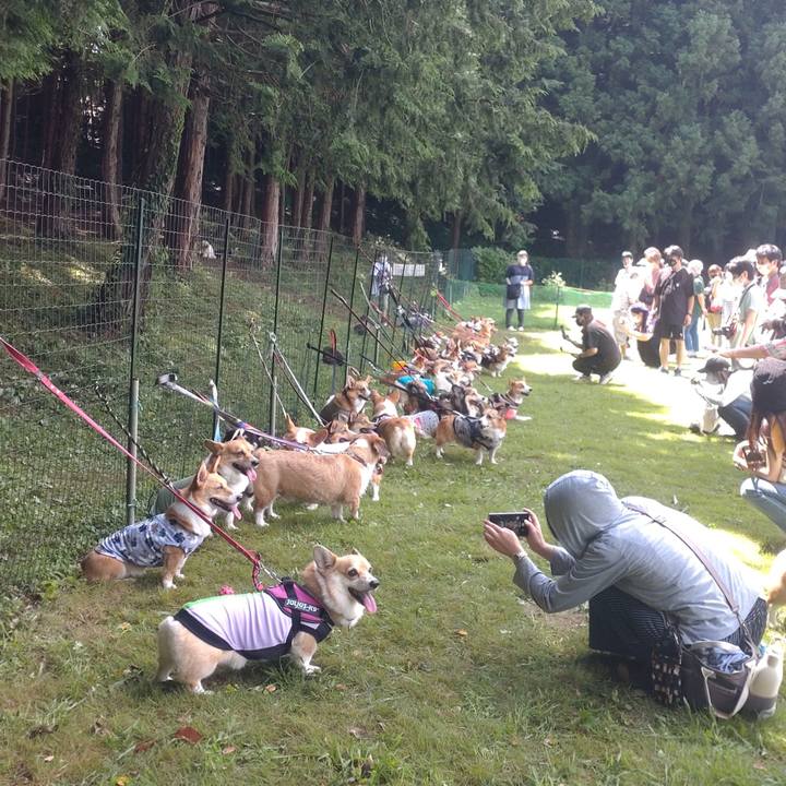 F2ed0fd2 def6 41b3 b196 5742b55c4d59 1661346665334