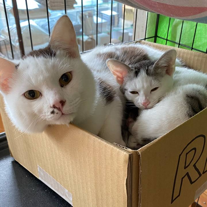 F2ed16c5 09d6 4597 befd 384ab1bea3b7 1701315765265