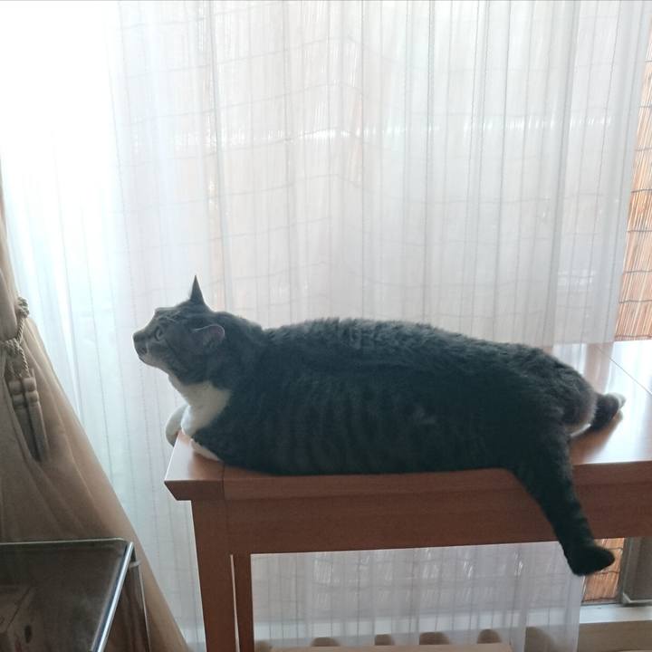 F2ed16d4 635e 4bf4 9720 f157126f1fe9 1570402479843