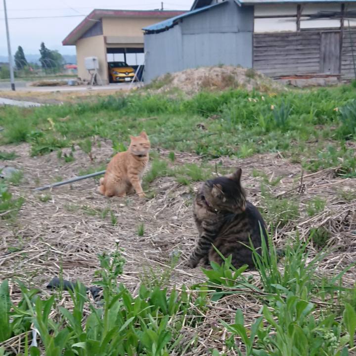 F2ed48ae 68c2 43b9 9ca1 cd6df2f64ece 1652347530236