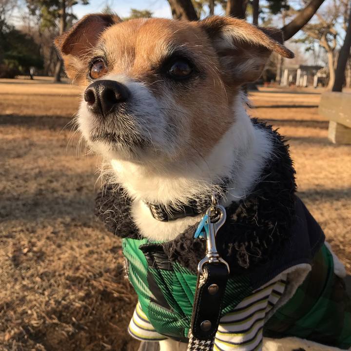 F2ed634c b9c1 4d4d b522 55eaf674bc8c 1547883962326