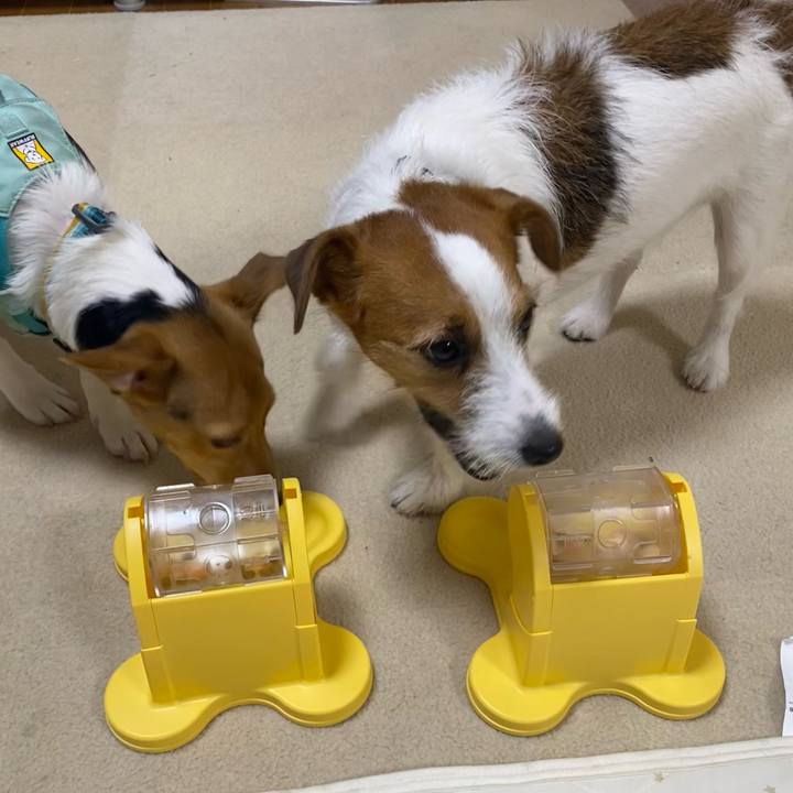 F2edf773 1661 4108 89ed e211d2dc6139 1753621115462