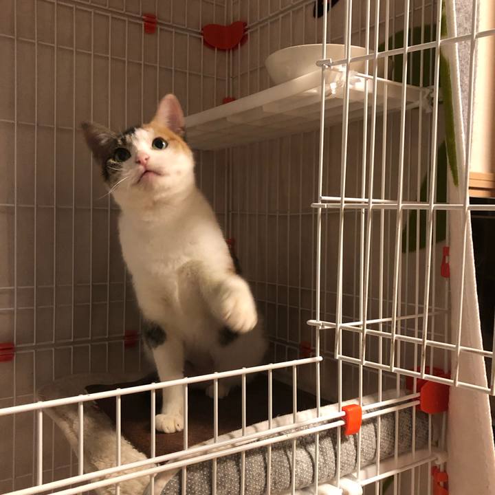 F2edffab e3e5 4d7d 9ecf 6f6c0b6ce696 1574044869070