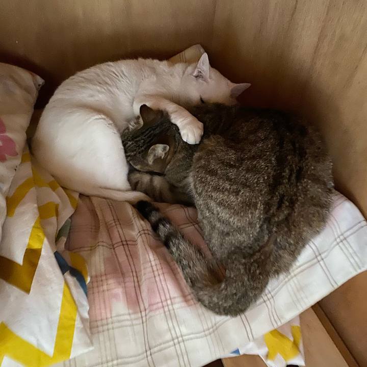 F2ee2b58 c824 4b24 8b94 ff018aff8599 1589924714047