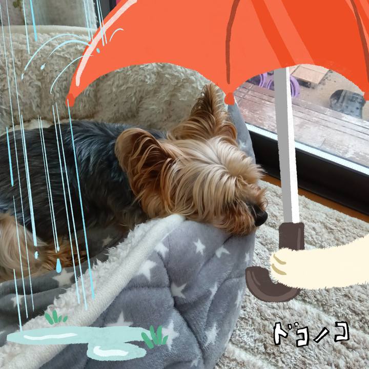 F2ee3ab3 b1b1 4f27 b804 5ed6f082ee2b 1749519418912