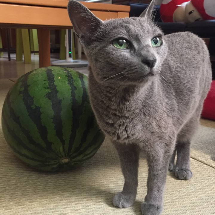 F2ee3f6e f34c 4c7f bab1 2f9304004761 1564615742642