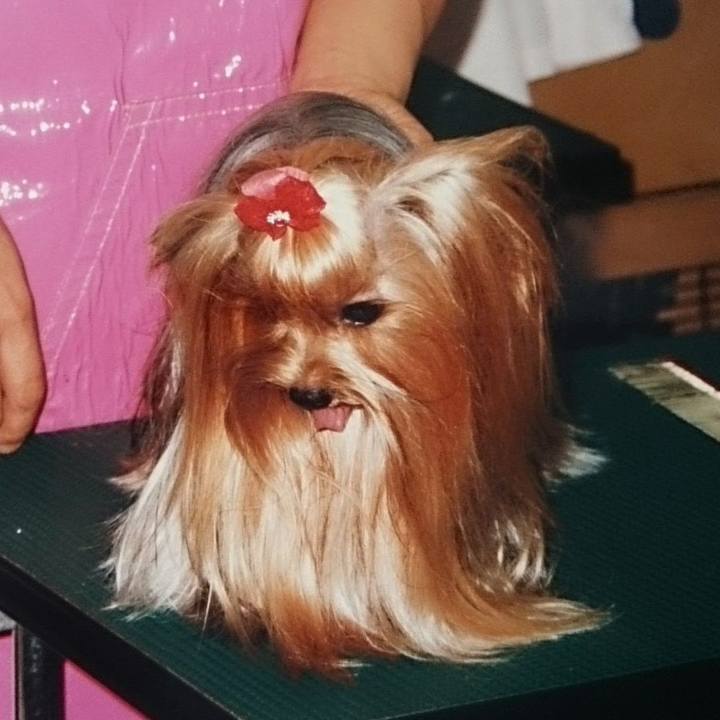 F2ee683d 8868 4b3f 99dc 4971a6ad9261 1703170275354