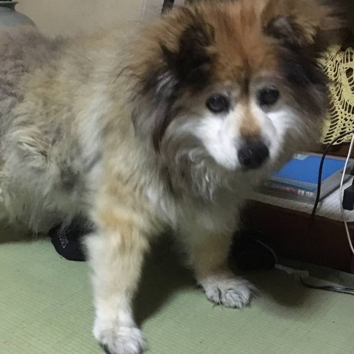 F2ee8eab d763 44b0 adc3 fef2e368437b 1554284812756