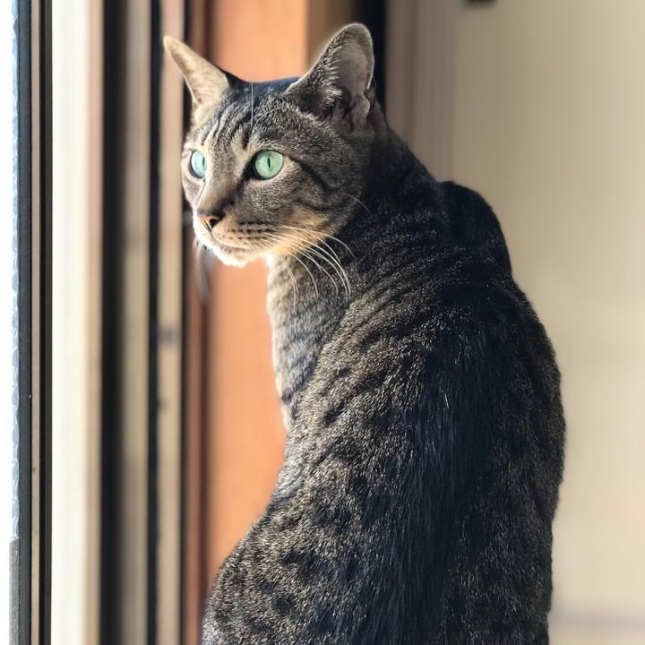 F2eedf1e 6916 4310 a89f 49aeb2d95fa9 1524188011005