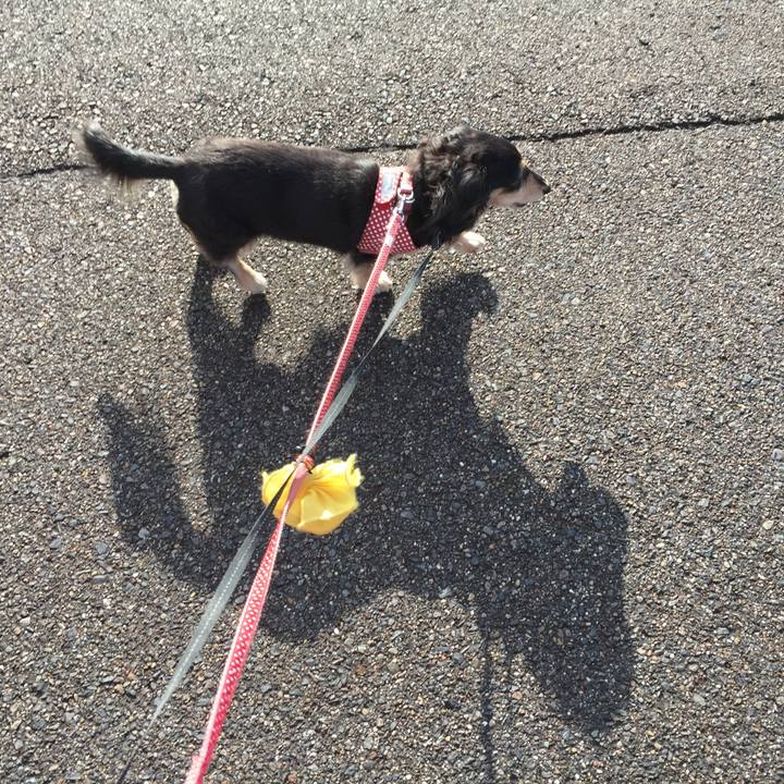 F2ef0808 f4d4 4c3a b16e 9e40d6dddcbb 1576801298447