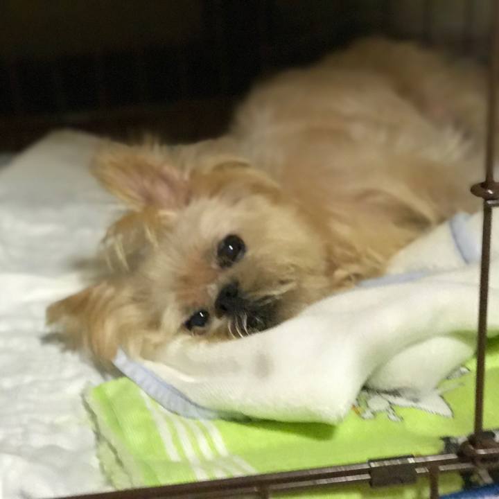 F2ef1944 5cce 49d8 8e84 5223f02f47fc 1726268921480