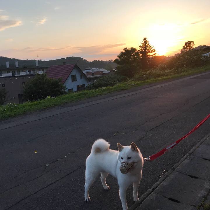 F2ef3306 f83f 4afd 9628 03ef5510310b 1537045391361