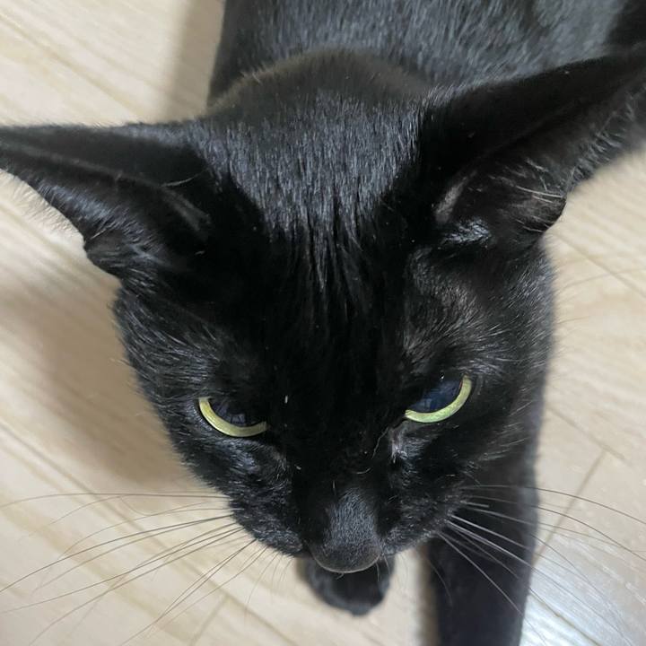 F2ef3f72 3233 4e77 8168 f0a419e8b3f7 1733573713414