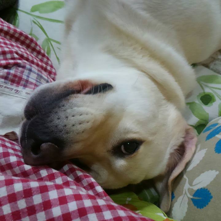 F2f0180c 4dc9 49f2 9ece 83cbd7ed87a6 1508142168385