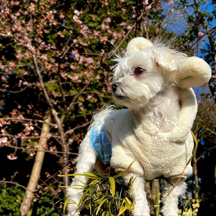 F2f01a67 b5fd 4f01 99df f21c13131de8 1676966941946