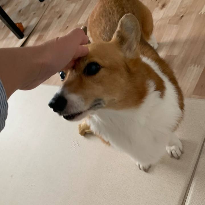 F2f01def 01bf 4ce2 9b99 fd03672b7c1b 1698378975216